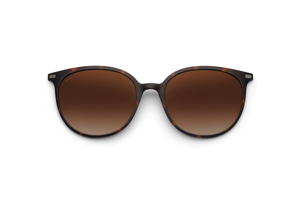 QUOIN II CLIP-ON